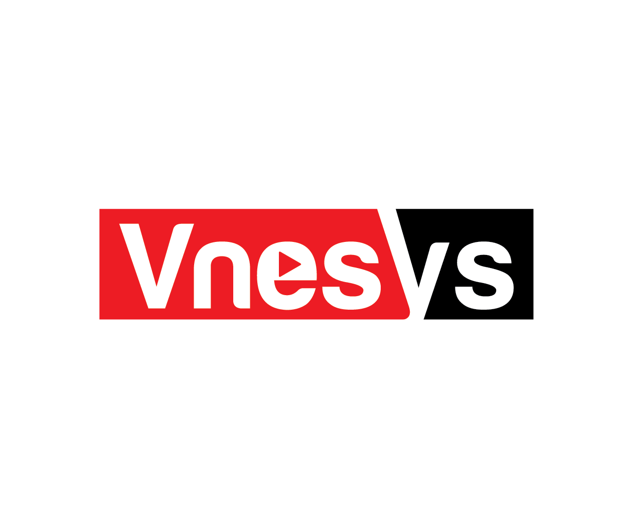 Vnesys Logo